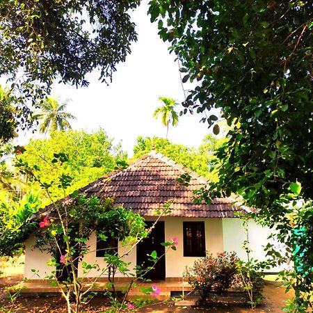 Munroe Inn Homestay Kollam Kültér fotó
