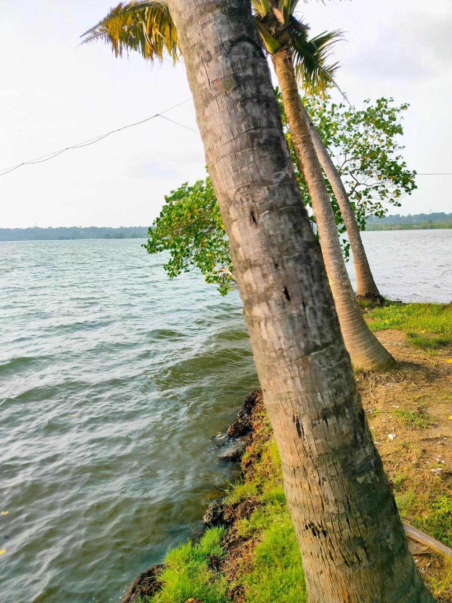 Munroe Inn Homestay Kollam Kültér fotó